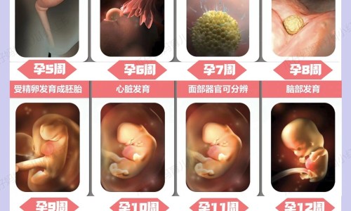 过敏荨麻疹的症状网- 过敏荨麻疹吃什么食物有哪些知识,分享儿童过敏荨麻疹吃什么药